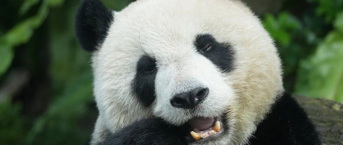 成都心理咨询师推荐｜别再乱花钱了！这4位口碑好的老师帮你走出情绪低谷