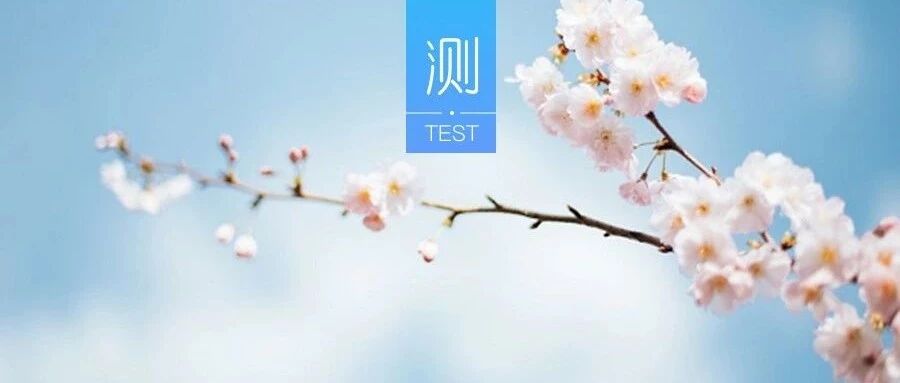 测你会和什么样的人在一起?