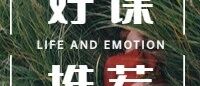 心理咨询师的内功修炼:移情和反移情