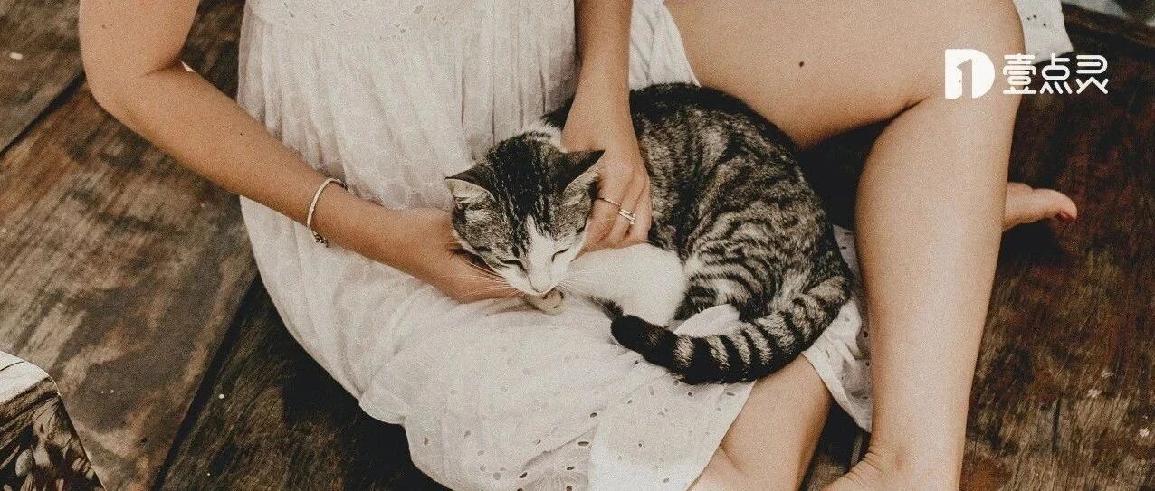 我从猫身上，学到了3个恋爱诀窍
