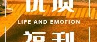 真正的高情商,不只会说话