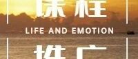 咨询师必修课|常见心理障碍和疾病的评估与诊断