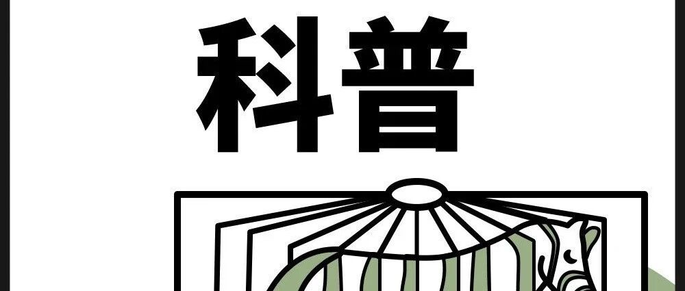 如果抑郁，请及时做心理咨询