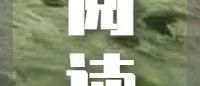 总感到被TA嘲讽、贬低、暗中利用 | 你要警惕那些隐性自恋者