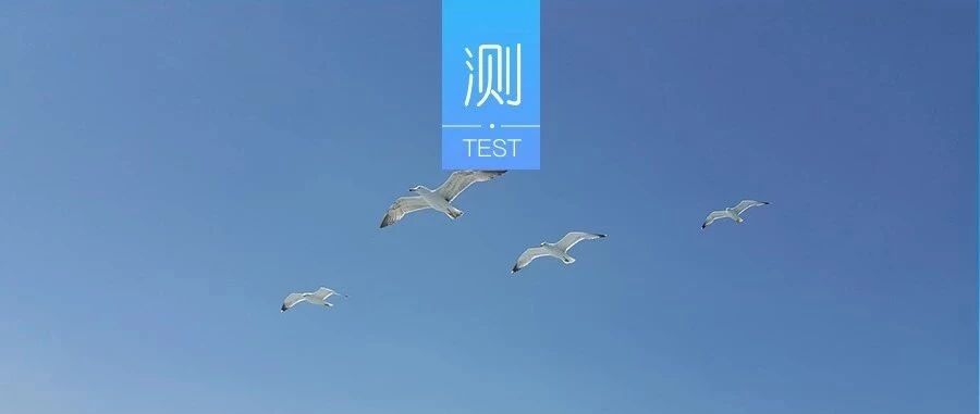 你觉得哪只小猫最可爱?测你的一生会以谁为中心