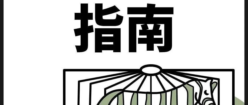 心理咨询师必看:打造个人 IP,让接单与赚钱像滚雪球一样增长