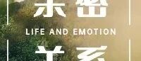 “健康的恋爱关系最需要什么”