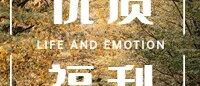 《非暴力沟通》:别让你说话的方式,毁掉你的优势