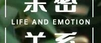 “做不到这4点的人,不适合恋爱”