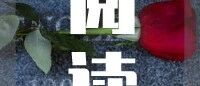 社恐，或许是最渴望关系的那群人