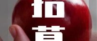 心理内容创作者招募,快到碗里来!