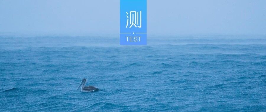 测你心里真正爱的是谁？