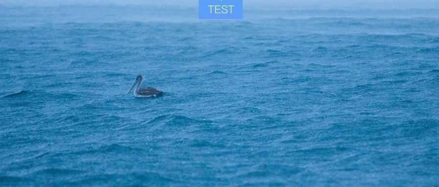 是害羞,还是社交恐惧症?测你社恐指数!