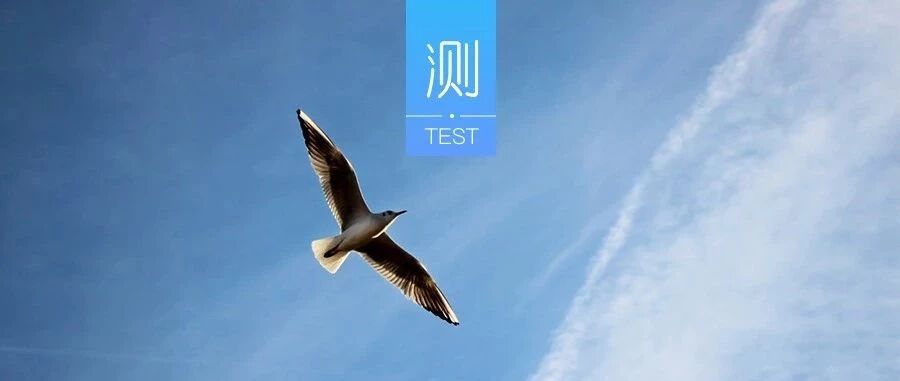 第一眼看出什么动物，你就是什么人