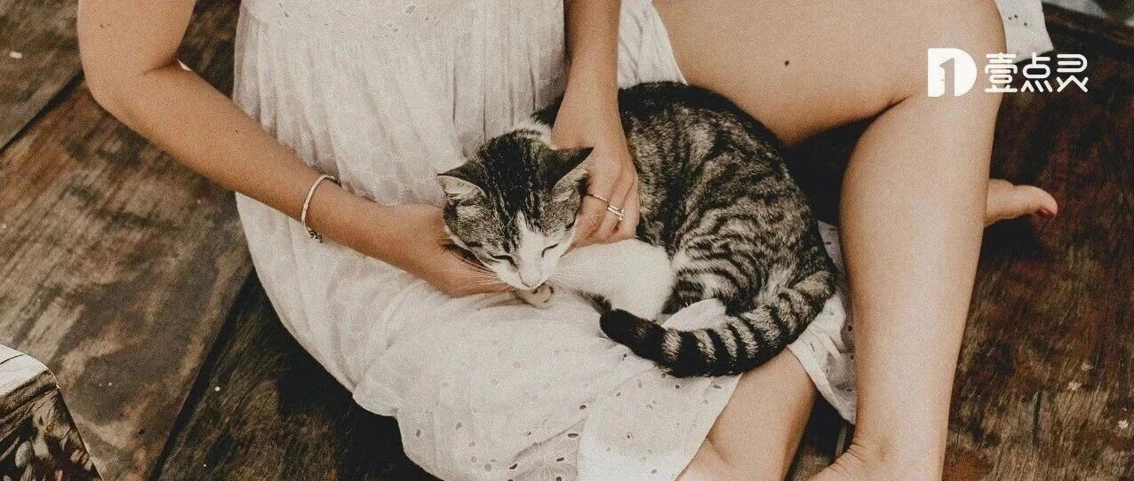 我从猫身上，学到了3个恋爱诀窍