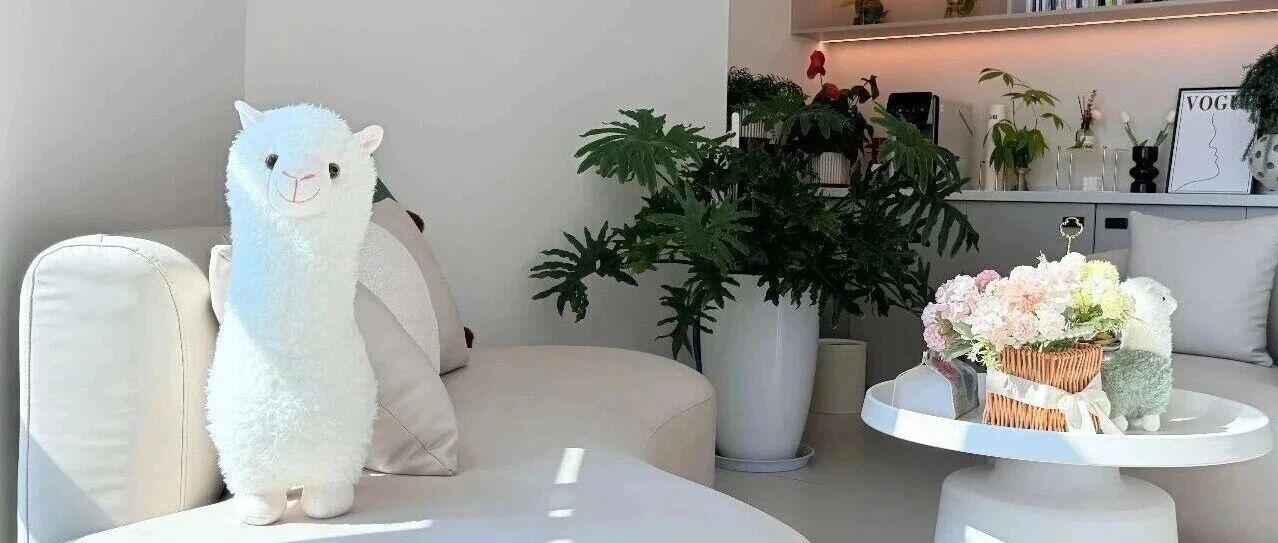 情感咨询前的必看指南:判断你们关系是否值得挽回的3个关键指标