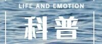 第一次去心理咨询，是一种什么样的体验？