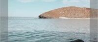 这位“治愈系顶流”，没有人能拒绝