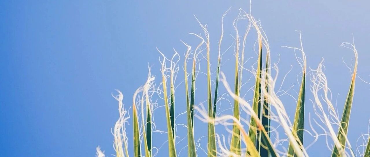 壹点灵心理测试：测测你的强迫程度(免费)